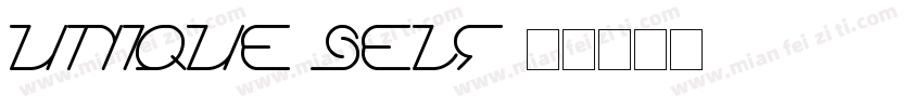 unique self字体转换